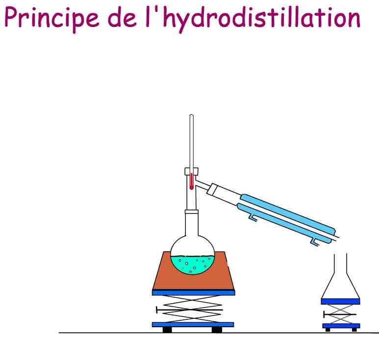 Illustration de l’animation sur la distillation proposée par le site web Itaride