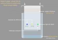 Illustration de l’animation de la chromatographie sur couche mince proposée par le site web PCCL