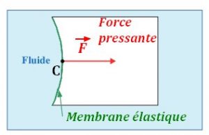Schéma présentant la force pressante s'exerçant en un point C sur une membrane élastique