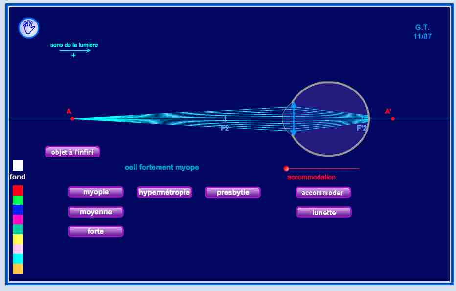 Illustration de l’animation sur la modélisation des yeux proposée par le site web