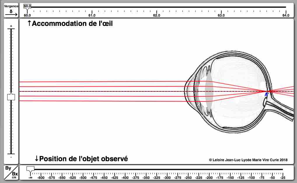 Illustration de l’animation sur le modèle de l'oeil proposée par le site web ac-caen