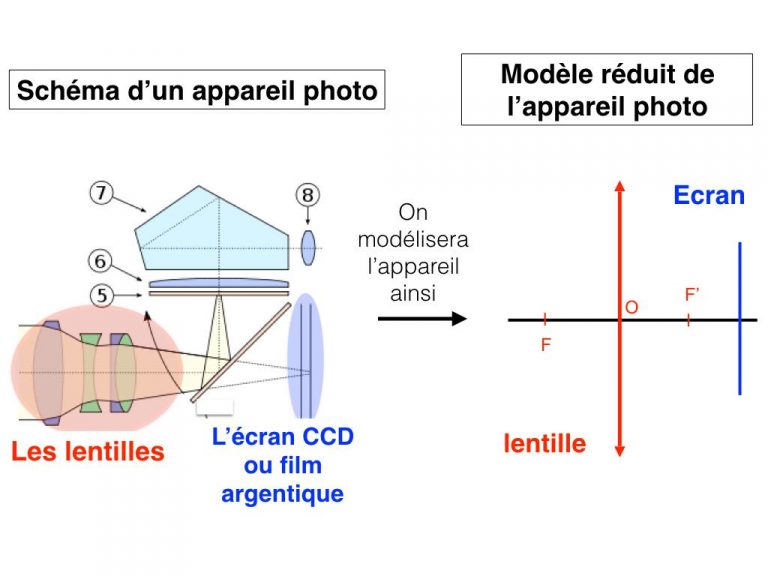 Les Composantes de l'Appareil Argentique