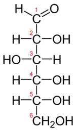 Fonctions hydroxydes et fonction aldéhydes ou cétone = glucide