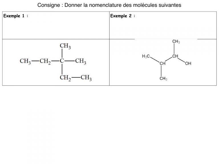 MS - Diapo - Nomenclature.002