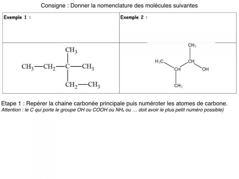 MS - Diapo - Nomenclature.003