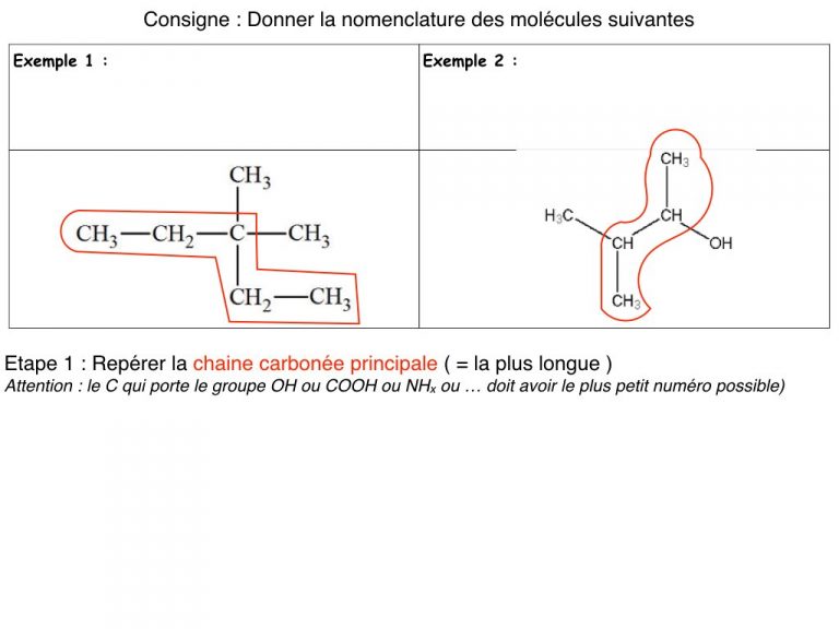 MS - Diapo - Nomenclature.004