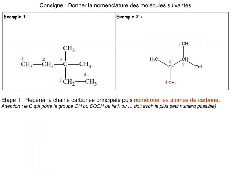 MS - Diapo - Nomenclature.005