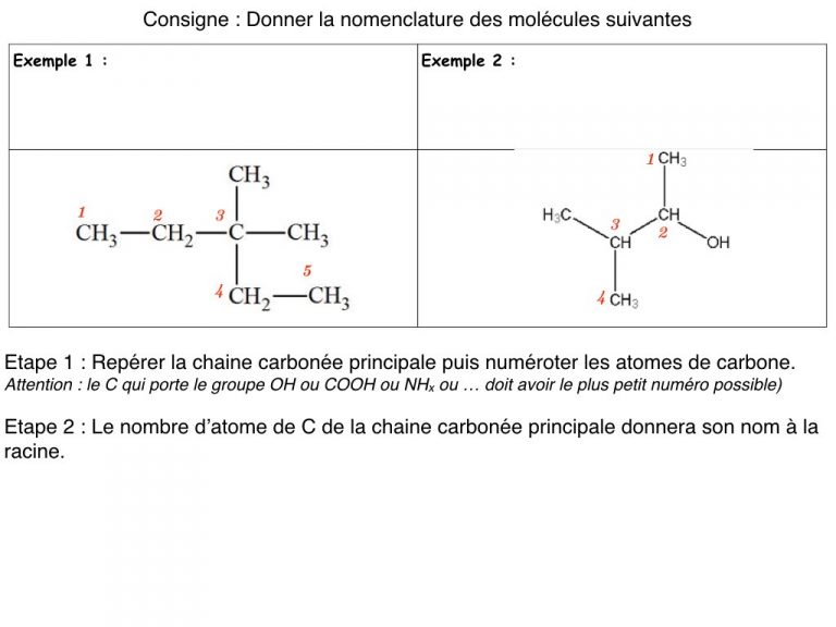 MS - Diapo - Nomenclature.006