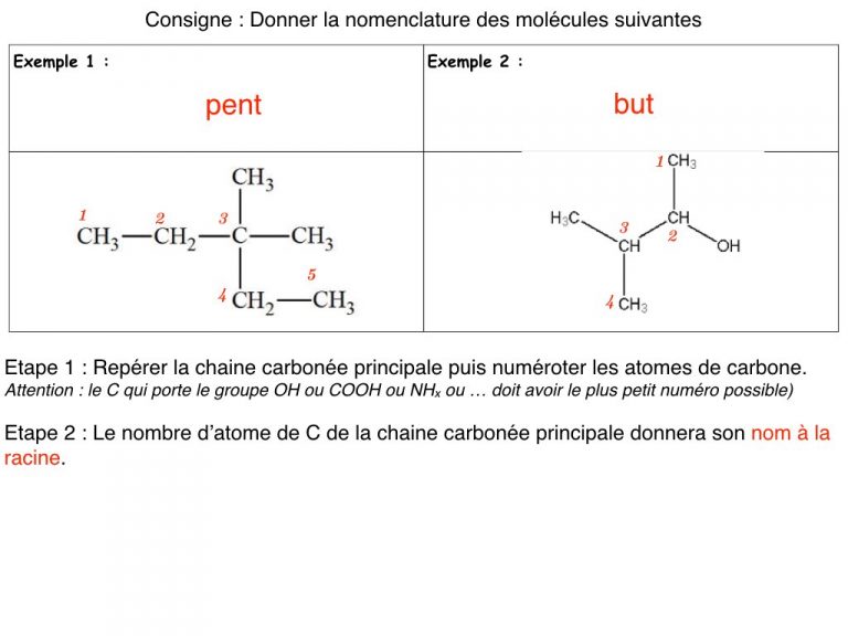 MS - Diapo - Nomenclature.007