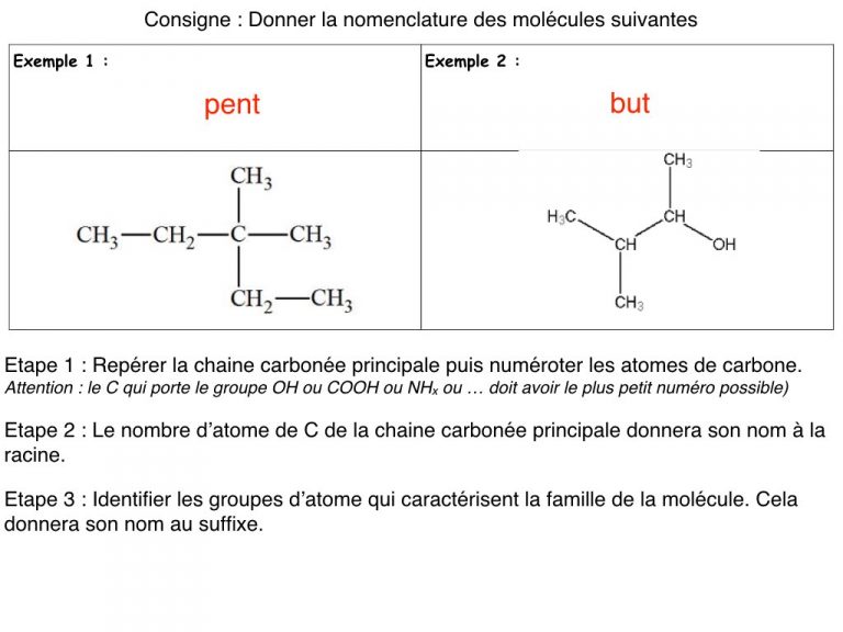 MS - Diapo - Nomenclature.008