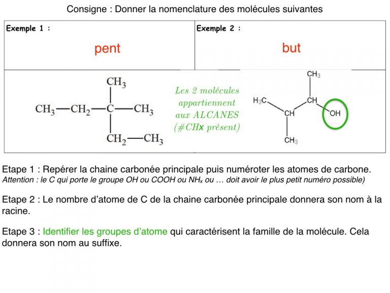 MS - Diapo - Nomenclature.009