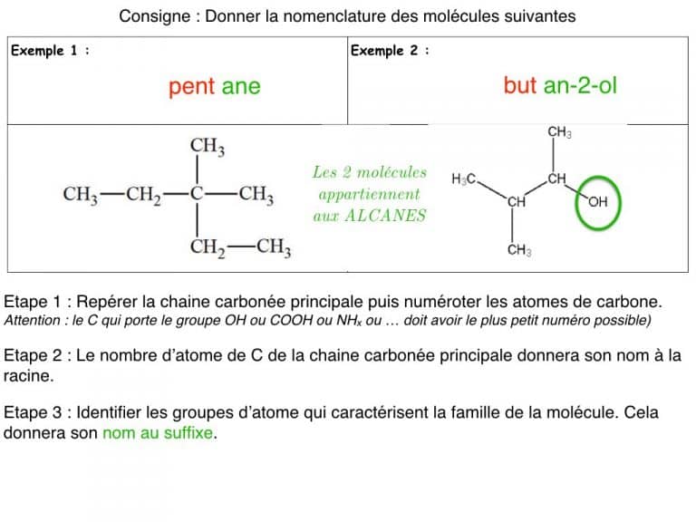 MS - Diapo - Nomenclature.010