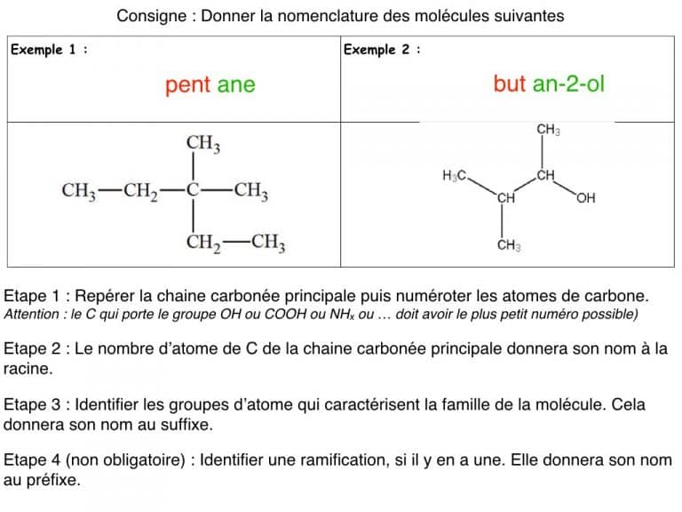 MS - Diapo - Nomenclature.011