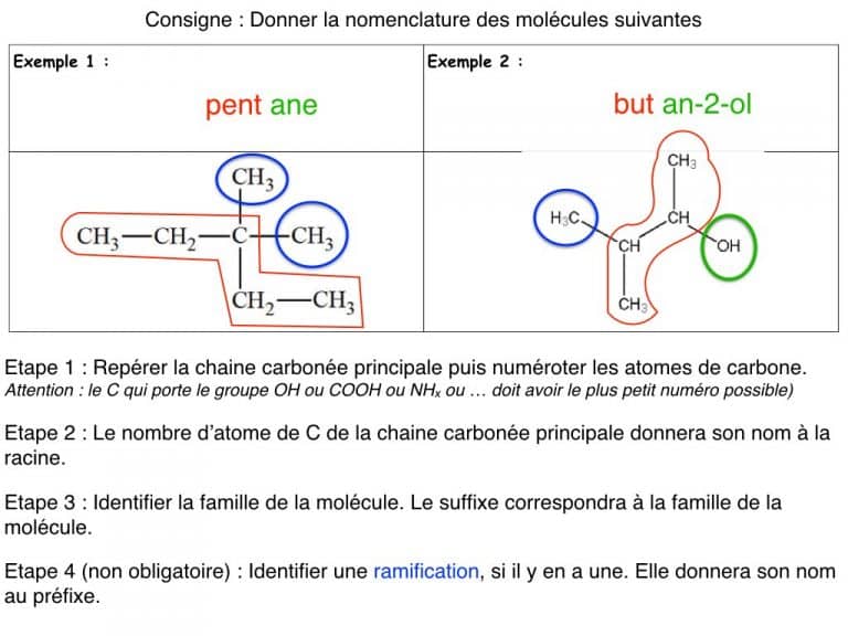 MS - Diapo - Nomenclature.012