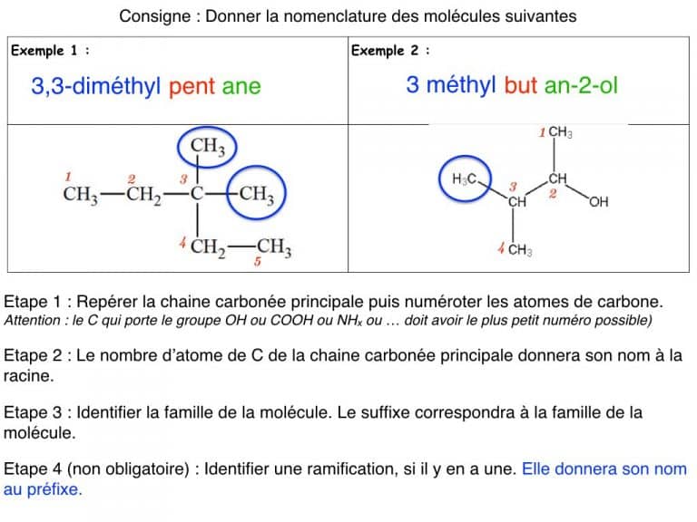 MS - Diapo - Nomenclature.013