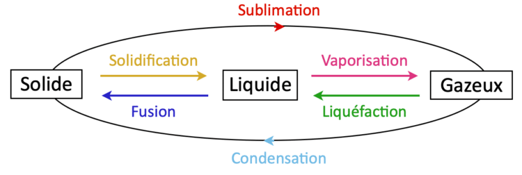 Les états physiques (S, L, G) avec le nom des changements d’état