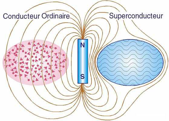 Lignes de champ magnétique d'un aimant au voisinage d'un supraconducteur et d'un métal