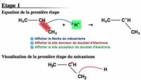 Lire la suite à propos de l’article Mécanisme réactionnel