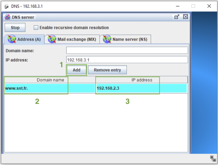 Fenêtre d'un serveur DNS (logiciel filius) 