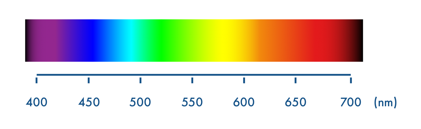 Spectre de la lumière blanche avec ses longueurs d'onde